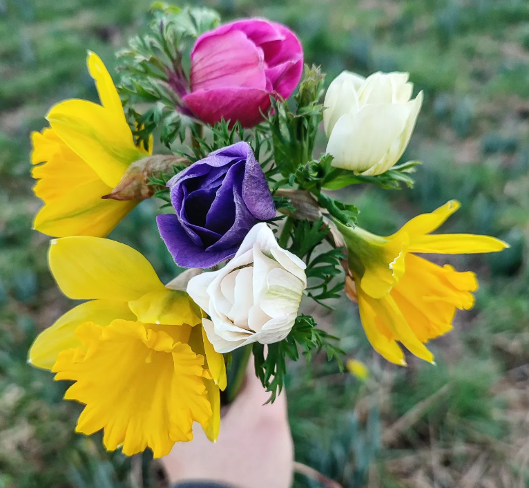 Bouquet colore de printemps